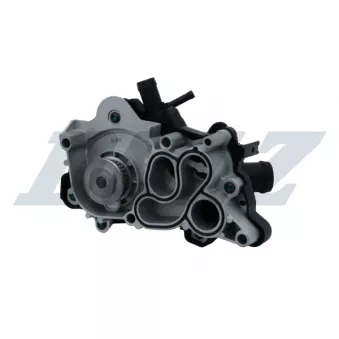 Pompe à eau DOLZ A239