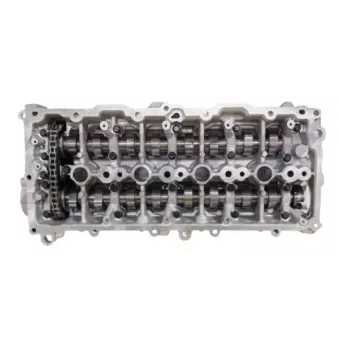 Kit de distribution par chaîne DOLZ