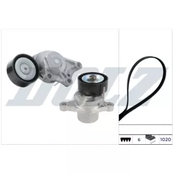 Jeu de courroies trapézoïdales à nervures DOLZ SKD204A