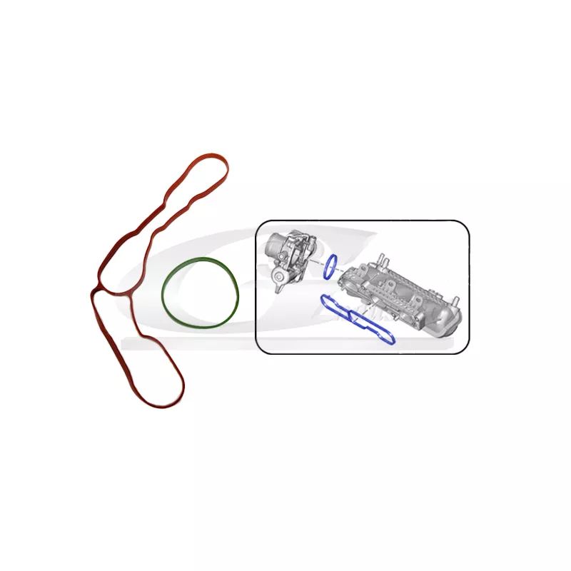 Joint d'étanchéité, collecteur d'admission 3RG 36209