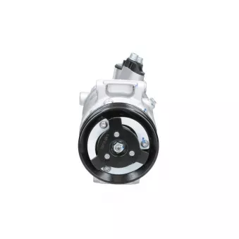 Compresseur, climatisation BV PSH 090.445.006.907
