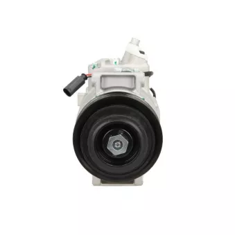 Compresseur, climatisation BV PSH 090.555.020.050