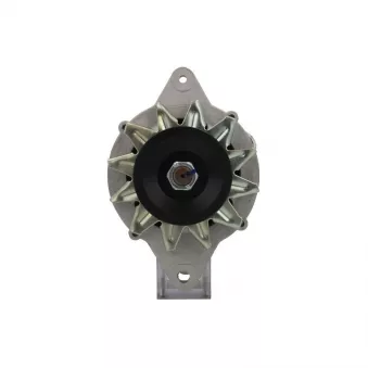 Alternateur BV PSH 165.817.070.080