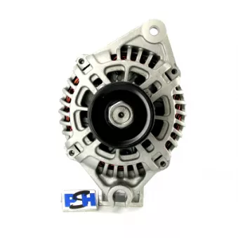 Alternateur BV PSH 225.503.080.502