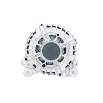 Alternateur BV PSH 305.317.180.000