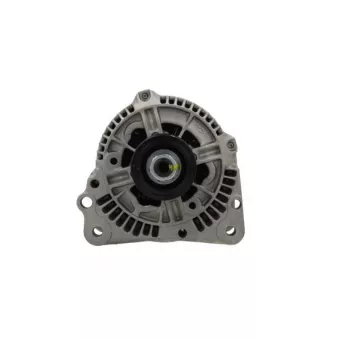 Alternateur BV PSH 305.503.090.215
