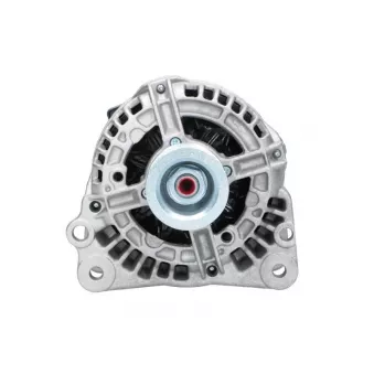 Alternateur BV PSH 305.513.070.340