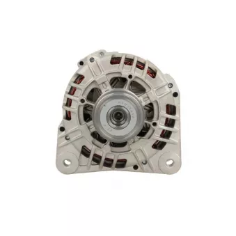 Alternateur BV PSH 305.525.120.000