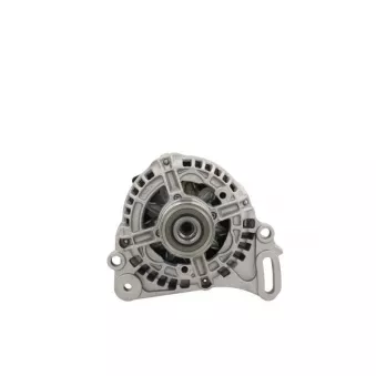 Alternateur BV PSH 305.553.070.216