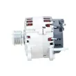 Alternateur BV PSH 305.570.180.340 - Visuel 2