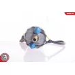 Pompe à carburant ESEN SKV 02SKV015 - Visuel 3