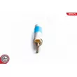 Pompe à carburant ESEN SKV 02SKV019 - Visuel 3