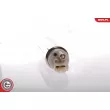 Pompe à carburant ESEN SKV 02SKV201 - Visuel 2