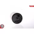 Pompe à carburant ESEN SKV 02SKV204 - Visuel 3