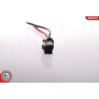 Pompe à carburant ESEN SKV 02SKV205