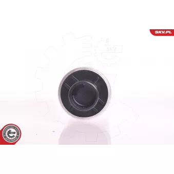 Pompe à carburant ESEN SKV 02SKV210