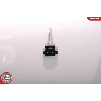 Pompe à carburant ESEN SKV