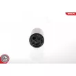 Pompe à carburant ESEN SKV 02SKV214 - Visuel 1