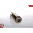Pompe à carburant ESEN SKV 02SKV218 - Visuel 3