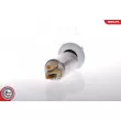 Pompe à carburant ESEN SKV 02SKV225 - Visuel 1