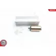 Pompe à carburant ESEN SKV 02SKV235 - Visuel 1