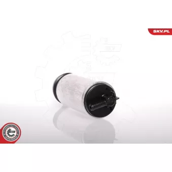 Pompe à carburant ESEN SKV 02SKV242