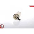 Pompe à carburant ESEN SKV 02SKV245 - Visuel 2