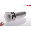 Pompe à carburant ESEN SKV 02SKV252 - Visuel 3
