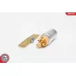 Pompe à carburant ESEN SKV 02SKV268 - Visuel 2