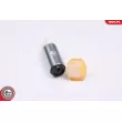 Pompe à carburant ESEN SKV 02SKV289 - Visuel 1