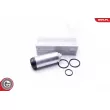 Pompe à carburant ESEN SKV 02SKV294 - Visuel 1