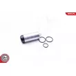 Pompe à carburant ESEN SKV 02SKV294 - Visuel 2
