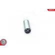 Pompe à carburant ESEN SKV 02SKV298 - Visuel 2