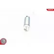 Pompe à carburant ESEN SKV 02SKV298 - Visuel 3