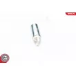 Pompe à carburant ESEN SKV 02SKV308 - Visuel 2