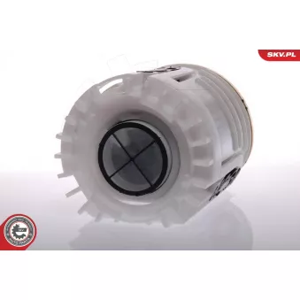 Unité d'injection de carburant ESEN SKV 02SKV703