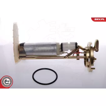 Unité d'injection de carburant ESEN SKV 02SKV706