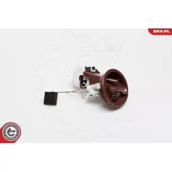 Unité d'injection de carburant ESEN SKV 02SKV709