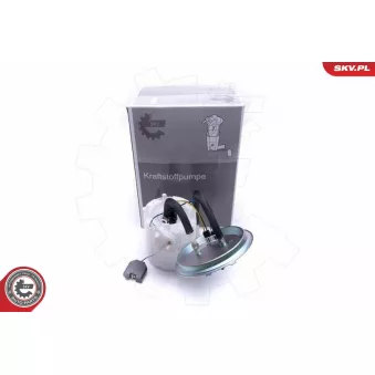 Unité d'injection de carburant ESEN SKV 02SKV713