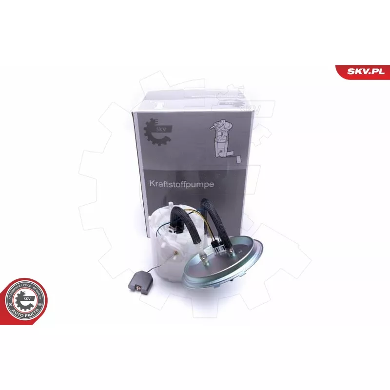 Unité d'injection de carburant ESEN SKV 02SKV713