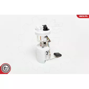 Unité d'injection de carburant ESEN SKV 02SKV717