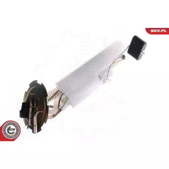 Unité d'injection de carburant ESEN SKV