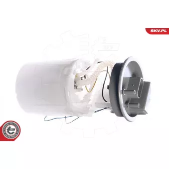 Unité d'injection de carburant ESEN SKV 02SKV721