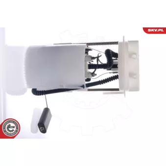 Unité d'injection de carburant ESEN SKV