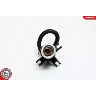 Unité d'injection de carburant ESEN SKV 02SKV729