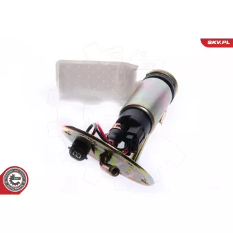 Unité d'injection de carburant ESEN SKV