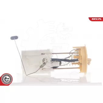 Unité d'injection de carburant ESEN SKV 02SKV739