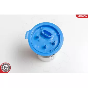 Unité d'injection de carburant ESEN SKV 02SKV740