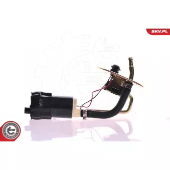 Unité d'injection de carburant ESEN SKV 02SKV743