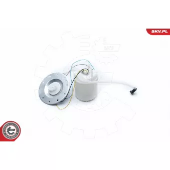 Unité d'injection de carburant ESEN SKV 02SKV752